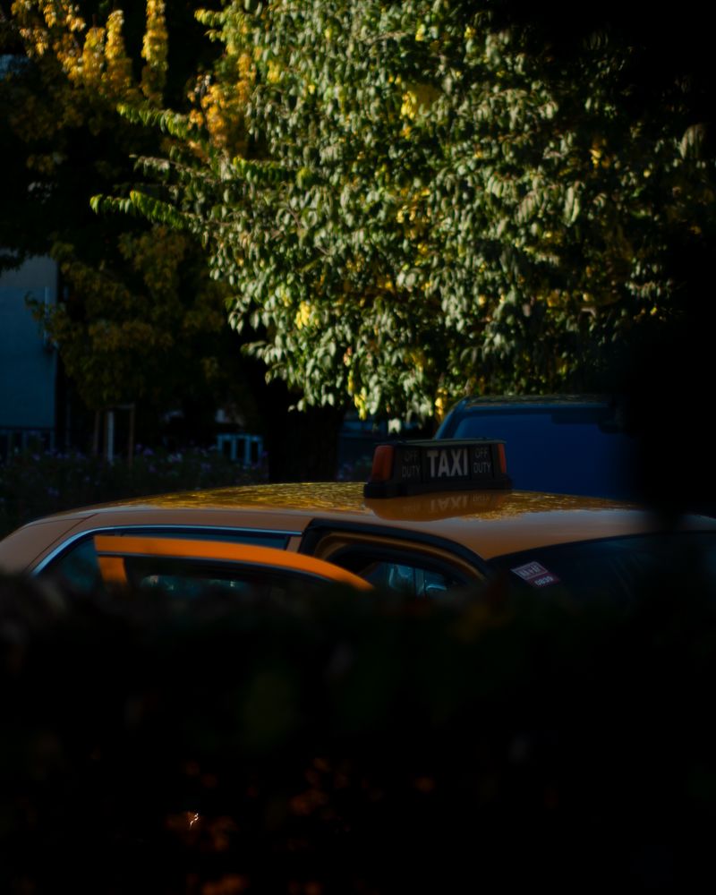 Car under tree